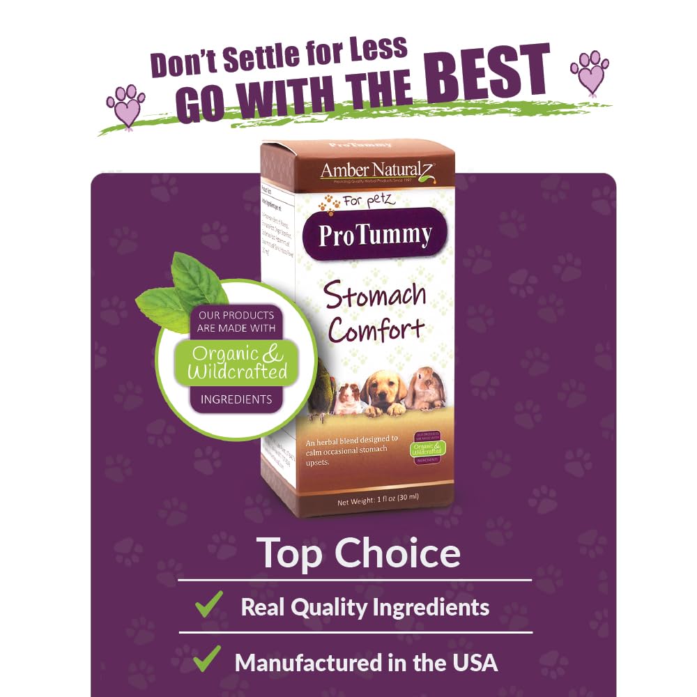 Amber NaturalZ ProTummy Stomach Comfort Herbal Blend for Dogs, Bird, Guinea Pigs, and Rabbits | Herbal Supplement for Occasional